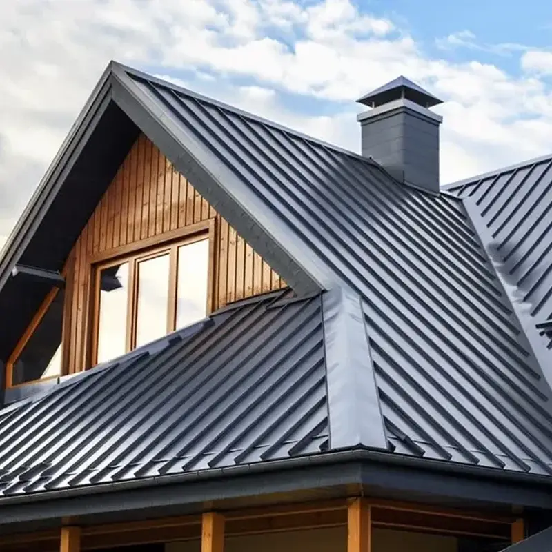 Standing-seam metal roof on an upscale Citrus Hills FL home